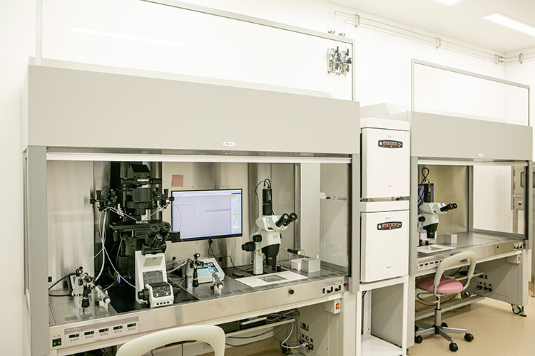 培養室内クリーンベンチには３台の顕微鏡が搭載されています。